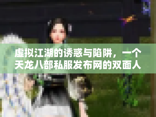 虚拟江湖的诱惑与陷阱，一个天龙八部私服发布网的双面人生