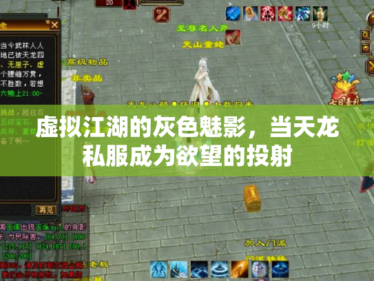虚拟江湖的灰色魅影，当天龙私服成为欲望的投射