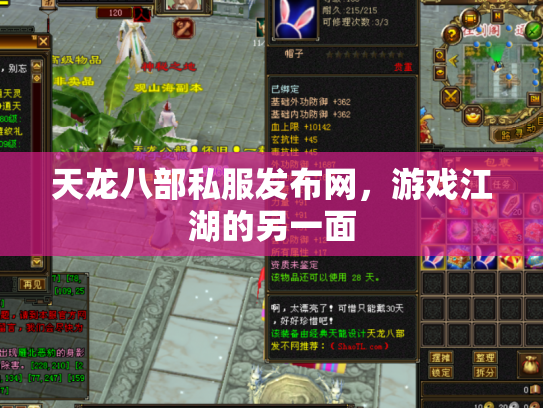 天龙八部私服发布网，游戏江湖的另一面