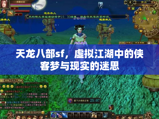 天龙八部sf，虚拟江湖中的侠客梦与现实的迷思