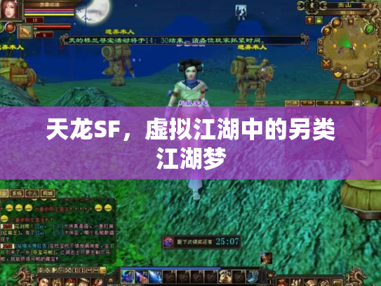 天龙SF，虚拟江湖中的另类江湖梦