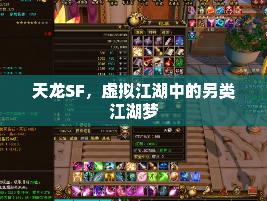 天龙SF，虚拟江湖中的另类江湖梦
