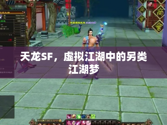 天龙SF，虚拟江湖中的另类江湖梦