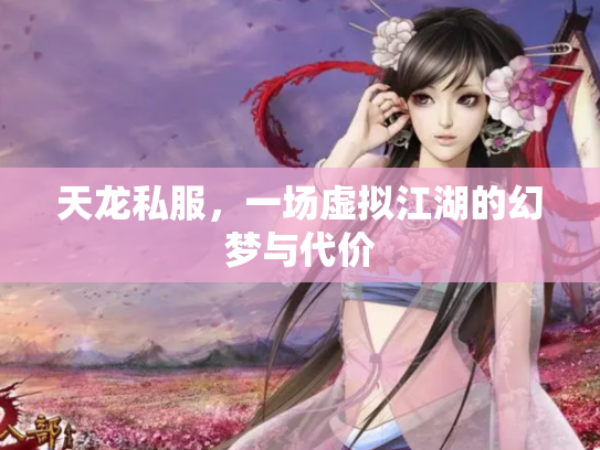 天龙私服，一场虚拟江湖的幻梦与代价