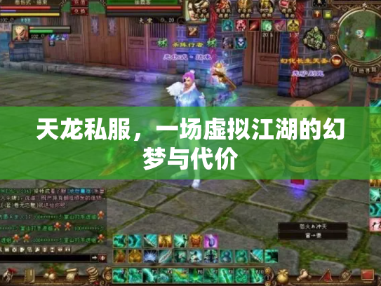 天龙私服，一场虚拟江湖的幻梦与代价