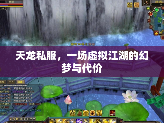 天龙私服，一场虚拟江湖的幻梦与代价