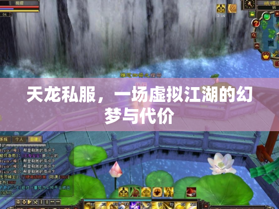 天龙私服，一场虚拟江湖的幻梦与代价