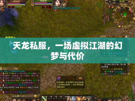 天龙私服，一场虚拟江湖的幻梦与代价