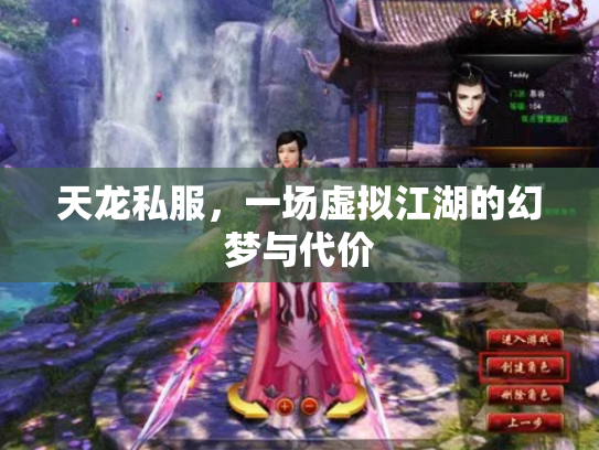 天龙私服，一场虚拟江湖的幻梦与代价
