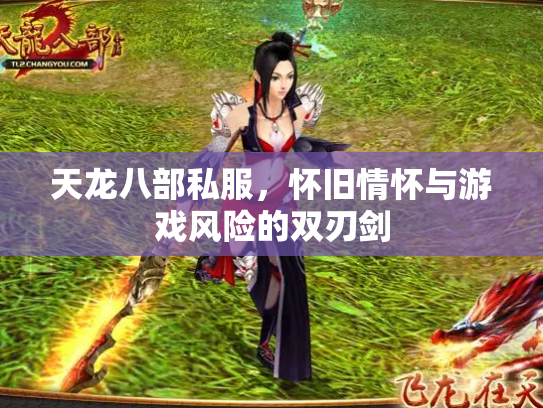 天龙八部私服，怀旧情怀与游戏风险的双刃剑