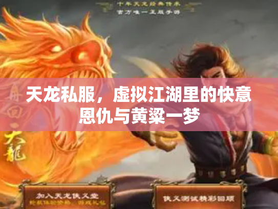 天龙私服，虚拟江湖里的快意恩仇与黄粱一梦