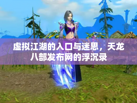 虚拟江湖的入口与迷思，天龙八部发布网的浮沉录