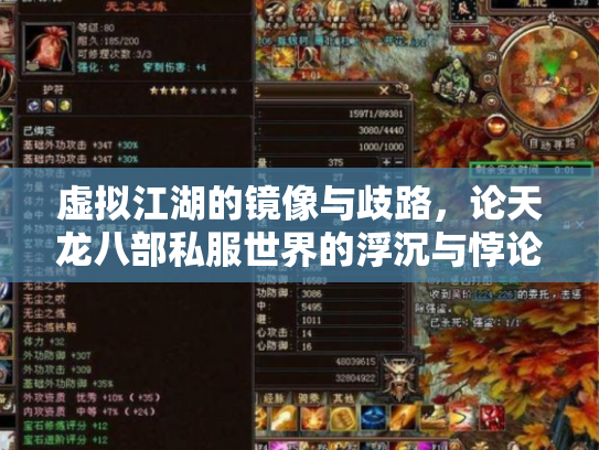 虚拟江湖的镜像与歧路，论天龙八部私服世界的浮沉与悖论