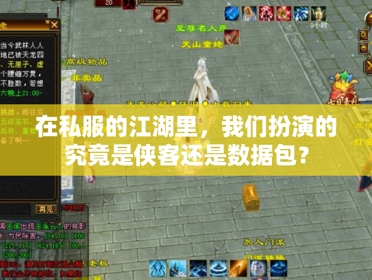 在私服的江湖里，我们扮演的究竟是侠客还是数据包？