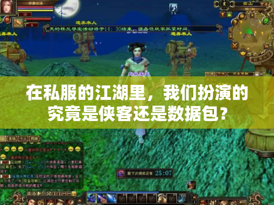 在私服的江湖里，我们扮演的究竟是侠客还是数据包？
