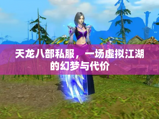 天龙八部私服，一场虚拟江湖的幻梦与代价