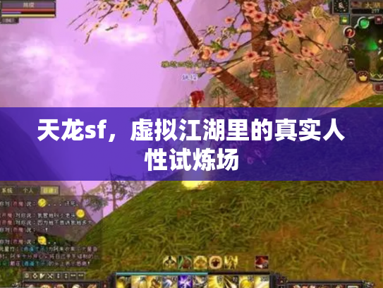 天龙sf，虚拟江湖里的真实人性试炼场