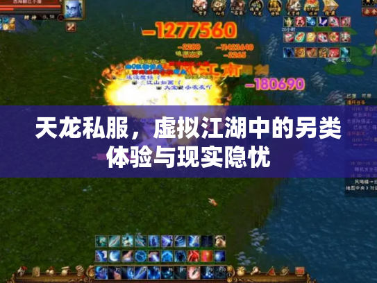 天龙私服，虚拟江湖中的另类体验与现实隐忧