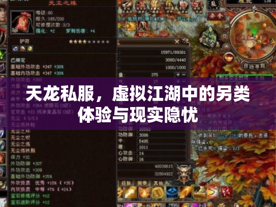 天龙私服，虚拟江湖中的另类体验与现实隐忧