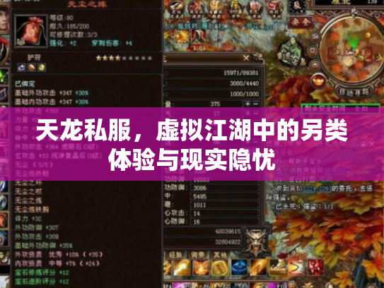 天龙私服，虚拟江湖中的另类体验与现实隐忧