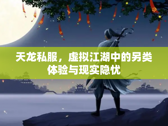天龙私服，虚拟江湖中的另类体验与现实隐忧