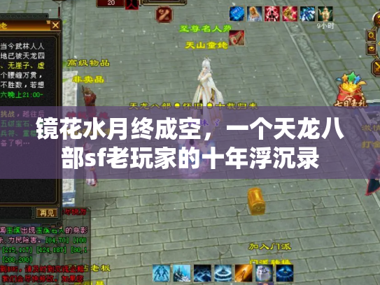 镜花水月终成空，一个天龙八部sf老玩家的十年浮沉录