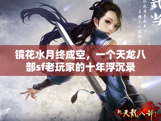 镜花水月终成空，一个天龙八部sf老玩家的十年浮沉录