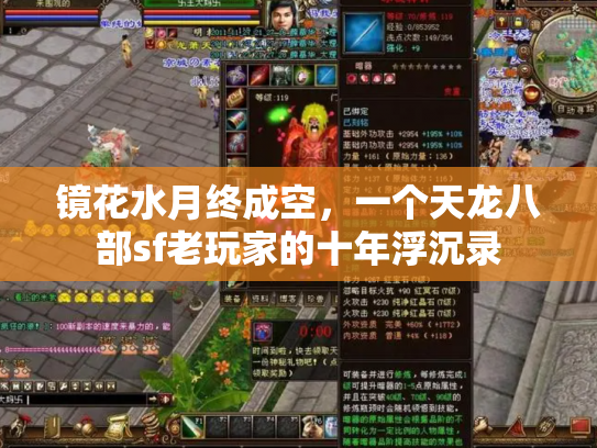 镜花水月终成空，一个天龙八部sf老玩家的十年浮沉录