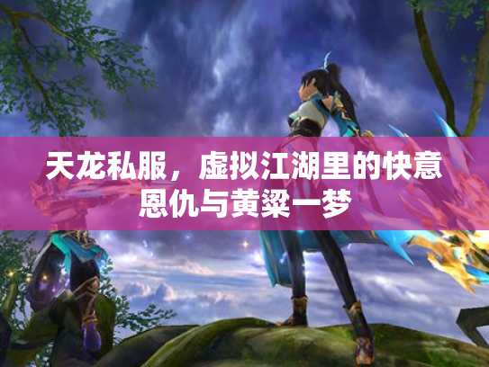 天龙私服，虚拟江湖里的快意恩仇与黄粱一梦