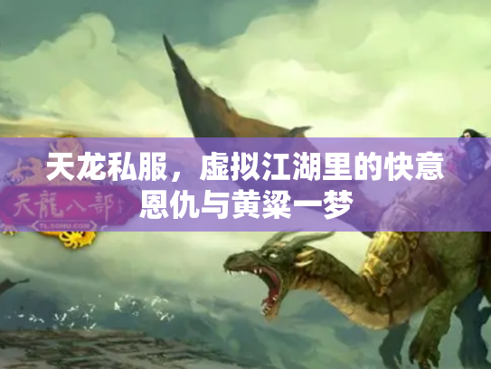 天龙私服，虚拟江湖里的快意恩仇与黄粱一梦