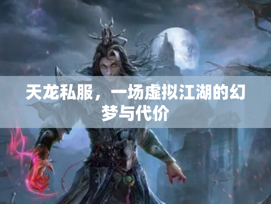 天龙私服，一场虚拟江湖的幻梦与代价
