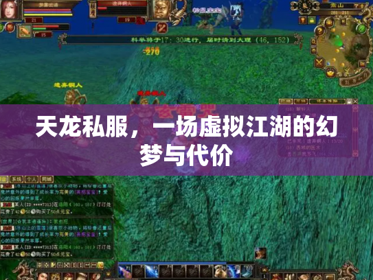 天龙私服，一场虚拟江湖的幻梦与代价