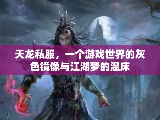 天龙私服，一个游戏世界的灰色镜像与江湖梦的温床