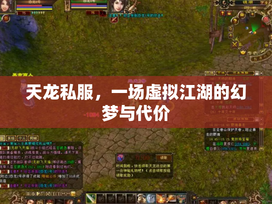 天龙私服，一场虚拟江湖的幻梦与代价