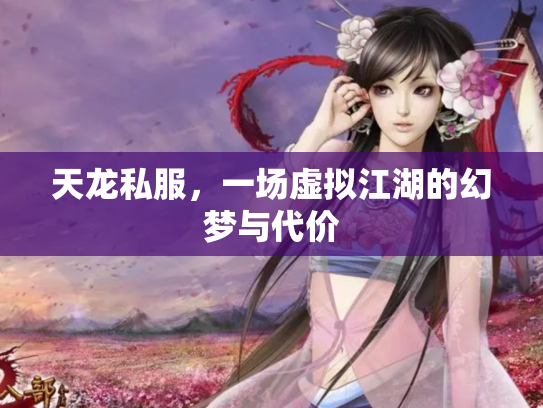 天龙私服，一场虚拟江湖的幻梦与代价