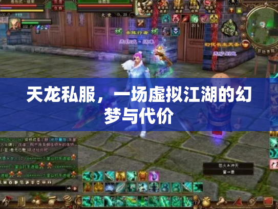 天龙私服，一场虚拟江湖的幻梦与代价