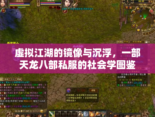 虚拟江湖的镜像与沉浮，一部天龙八部私服的社会学图鉴