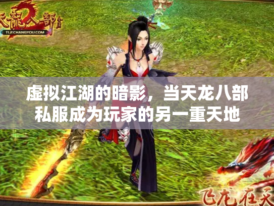 虚拟江湖的暗影，当天龙八部私服成为玩家的另一重天地