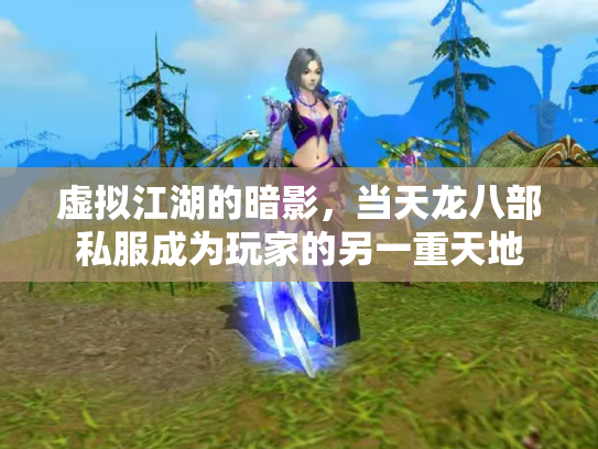 虚拟江湖的暗影，当天龙八部私服成为玩家的另一重天地