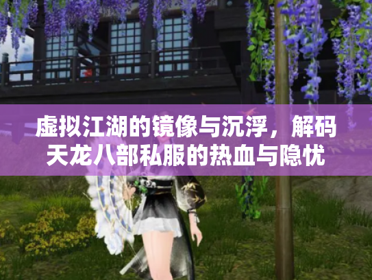 虚拟江湖的镜像与沉浮，解码天龙八部私服的热血与隐忧