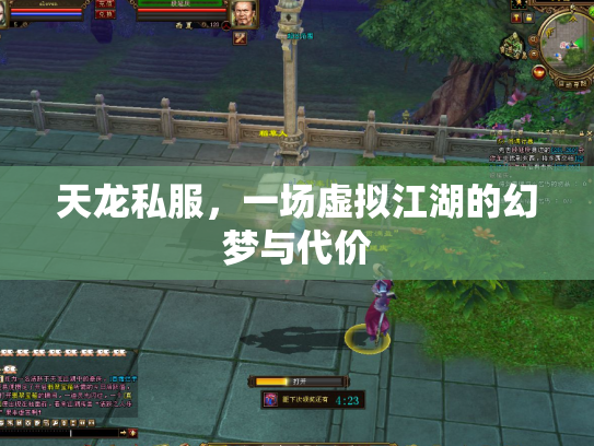 天龙私服，一场虚拟江湖的幻梦与代价