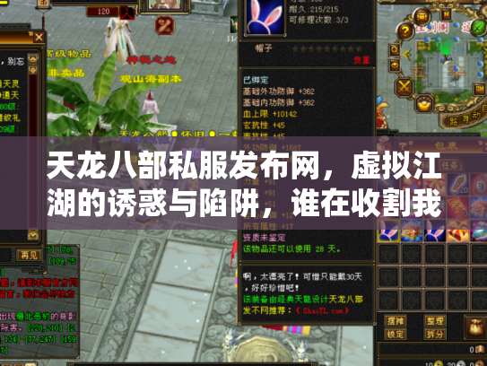 天龙八部私服发布网，虚拟江湖的诱惑与陷阱，谁在收割我们的武侠梦？