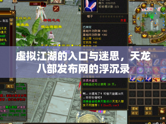 虚拟江湖的入口与迷思，天龙八部发布网的浮沉录