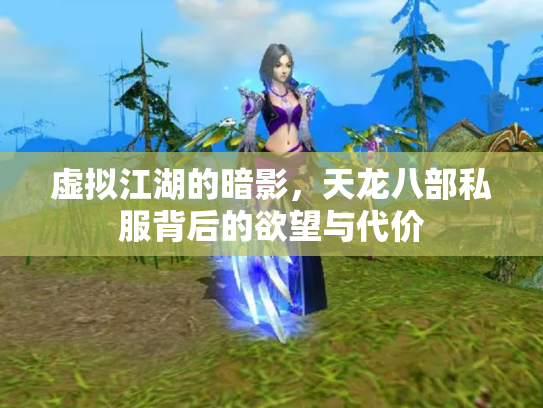 虚拟江湖的暗影，天龙八部私服背后的欲望与代价