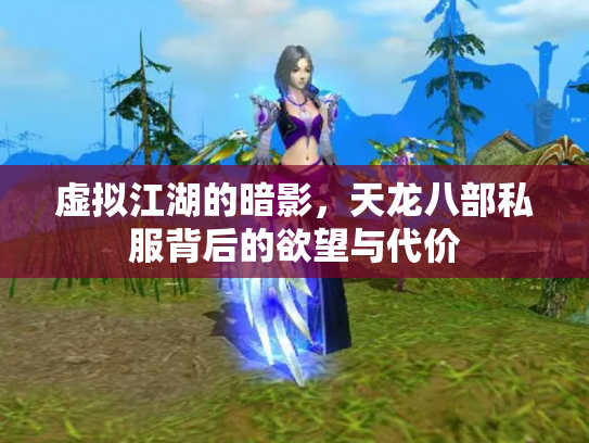 虚拟江湖的暗影，天龙八部私服背后的欲望与代价