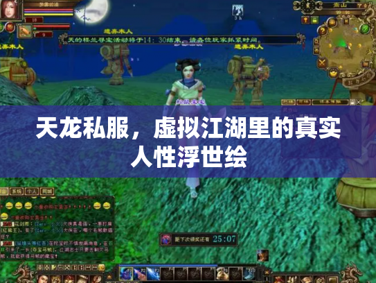 天龙私服，虚拟江湖里的真实人性浮世绘