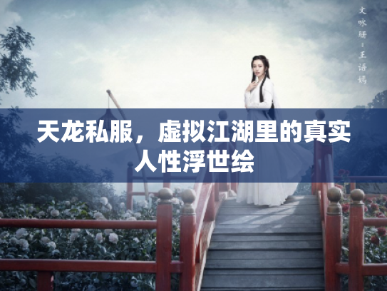 天龙私服，虚拟江湖里的真实人性浮世绘
