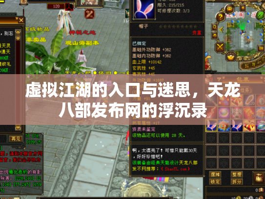 虚拟江湖的入口与迷思，天龙八部发布网的浮沉录
