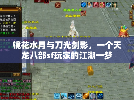 镜花水月与刀光剑影，一个天龙八部sf玩家的江湖一梦
