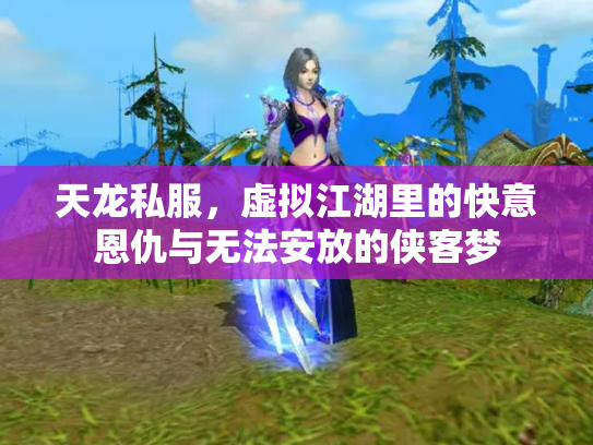 天龙私服，虚拟江湖里的快意恩仇与无法安放的侠客梦